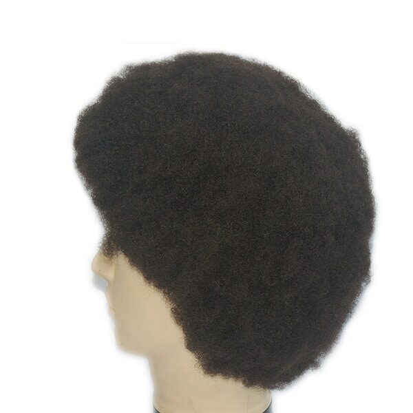 LJC1042 Tight Afro African Wigs (3)