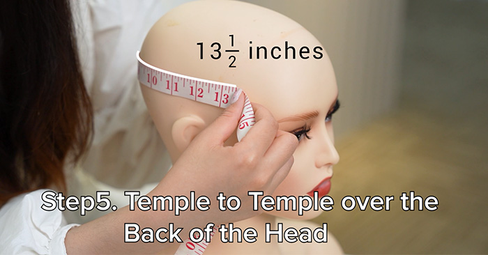 Step5. Temple to Temple over the Back of the Head