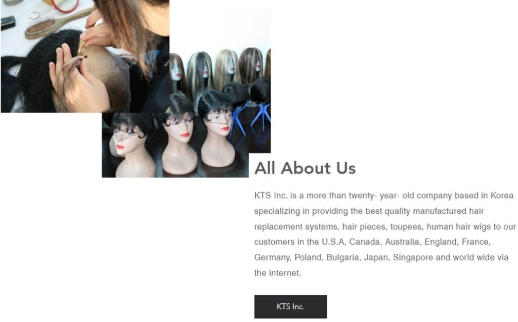 mens hair pieces manufacturers KTS Inc